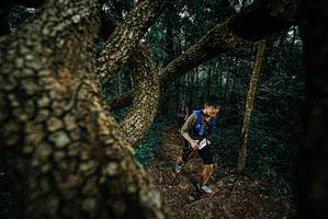 BIB: 
                            <button type="button" onclick="openModal(25696248)" class="btn btn-primary btn-sm float-right btn-popup" data-toggle="modal" data-target=".modal-high-quality">
                        <i class="fas fa-shopping-cart"></i> Add to Cart
                    </button>
                                            <button type="button" onclick="isThisMe(25696248, true)" class="btn btn-success btn-sm float-right btn-popup btn-isme hidden" data-toggle="tooltip" data-placement="bottom" title="นี่คือรูปของคุณใช่ไหม คลิกที่นี่เพื่อเอาเข้าอัลบั้ม">
                        <i class="fas fa-plus"></i> Add to album
                    </button>
                    <button type="button" onclick="isThisMe(25696248, false)" class="btn btn-warning btn-sm float-right btn-popup btn-isnotme hidden">
                        <i class="fas fa-ban"></i> Remove from album
                    </button>